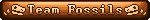 Team Fossils